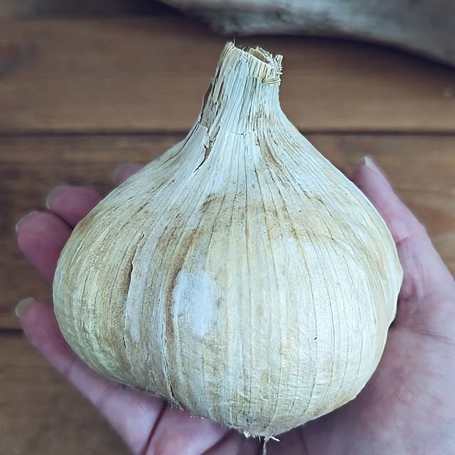 mamimamipockyさんの実例写真
