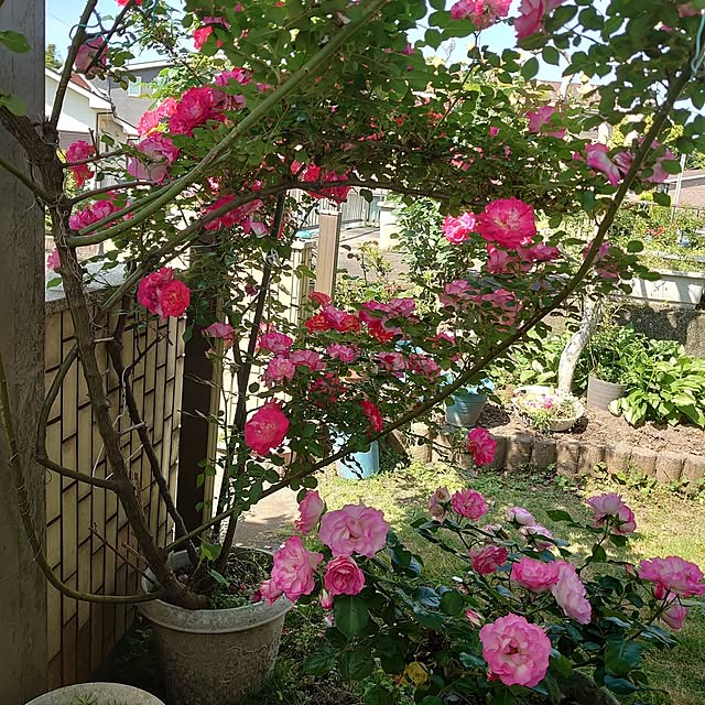 kisaragiさんの部屋