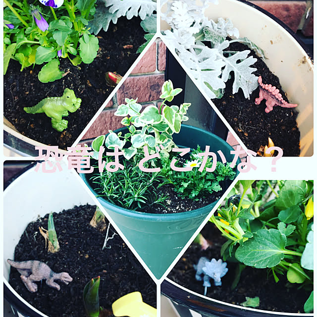 yumiさんの実例写真