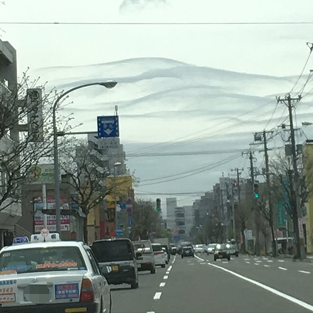 実例写真
