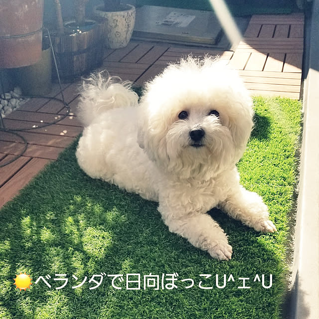takoさんの実例写真