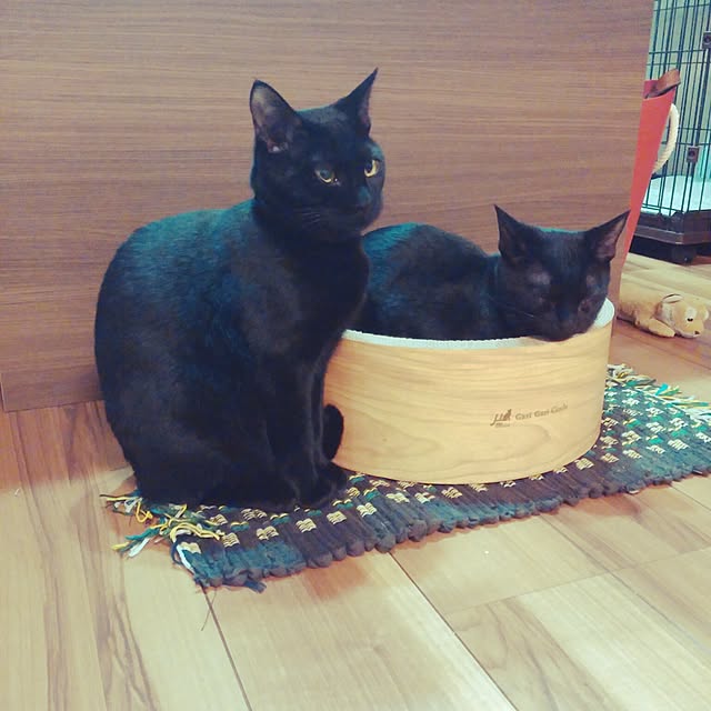 --Yu--Chi--さんの実例写真