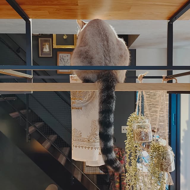 Atelier_tamakiさんの部屋