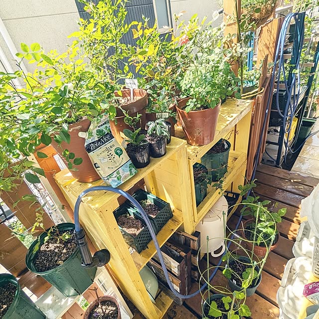 kazuさんの部屋