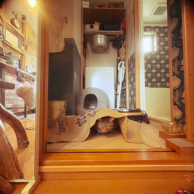Mさんの実例写真