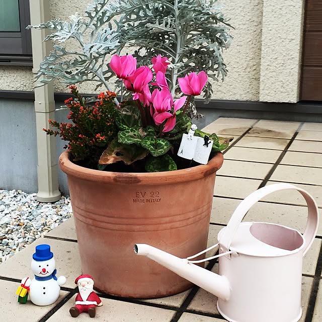 p-さんの実例写真