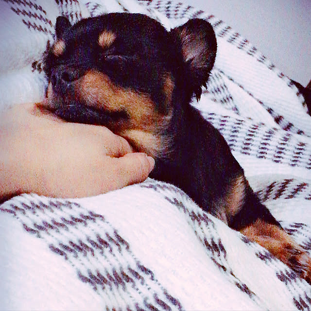 miitanさんの実例写真
