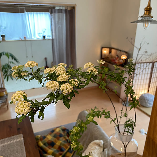 taka17cafeさんの実例写真