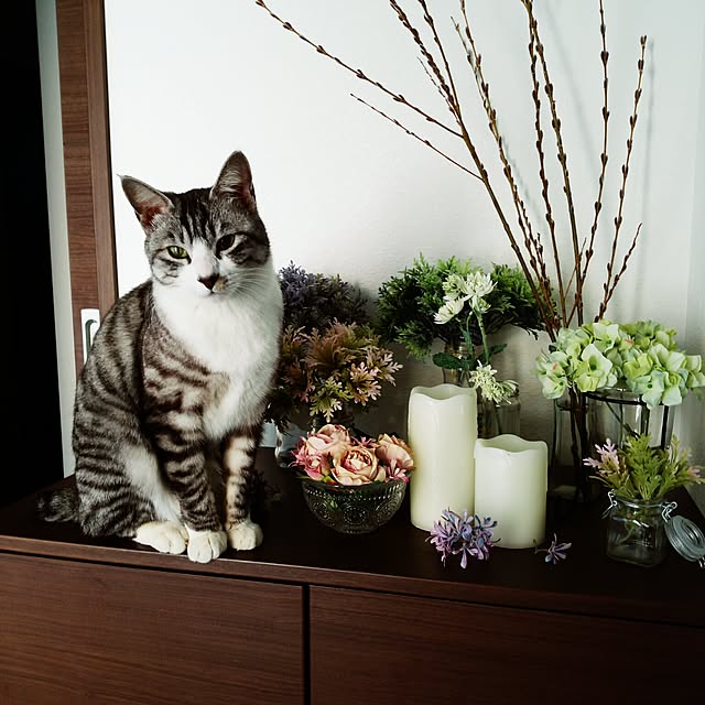 Mikaさんの実例写真