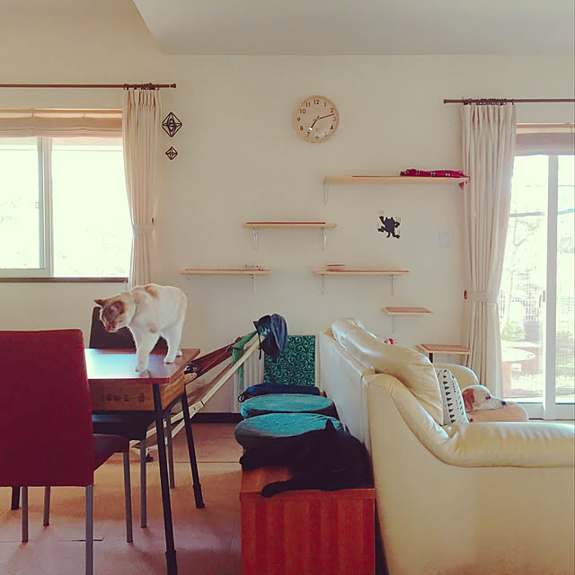 nanaさんの実例写真