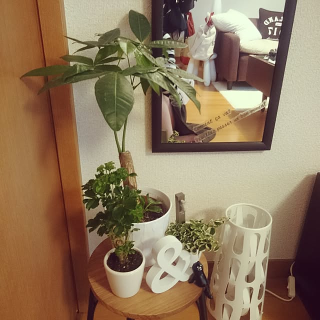 michiさんの実例写真