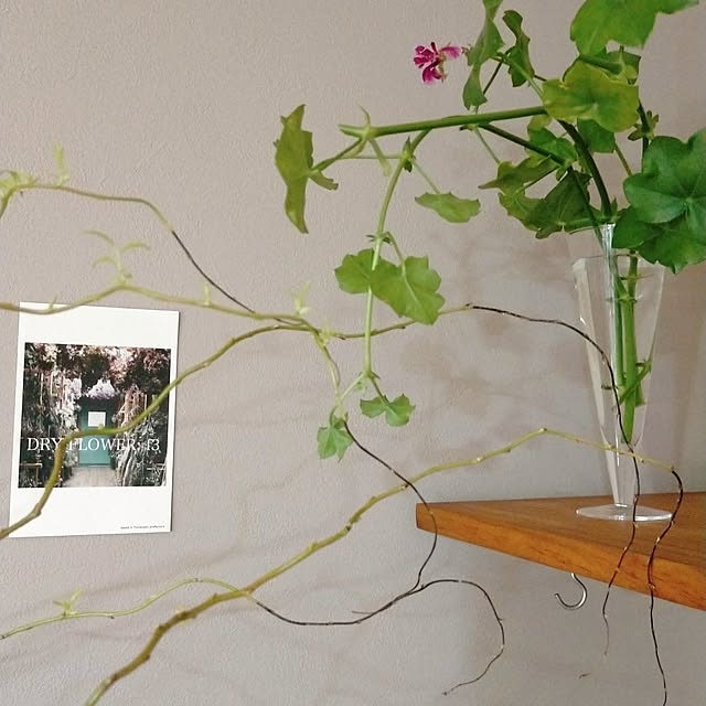 ukiukiさんの部屋