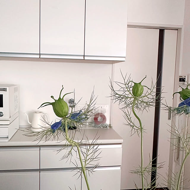 hanahana1444さんの部屋