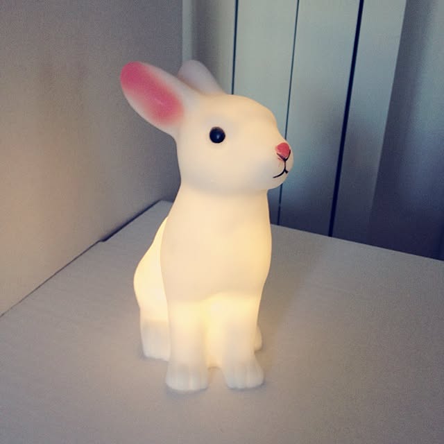 cinnamonさんの実例写真
