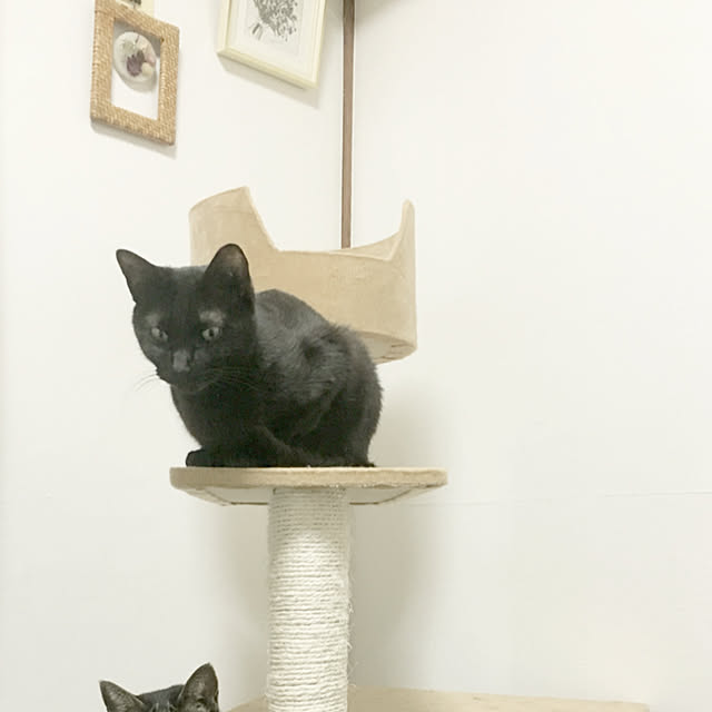 chocoさんの実例写真
