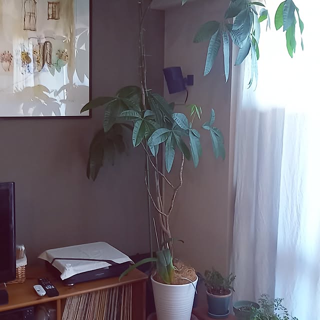 anzmama0404さんの実例写真