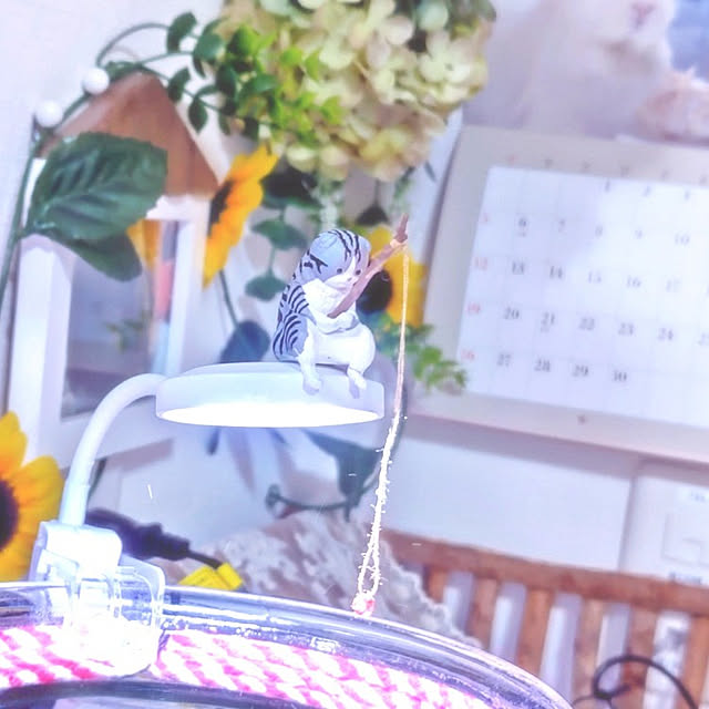 mariaさんの実例写真
