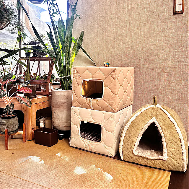 greycatsさんの実例写真