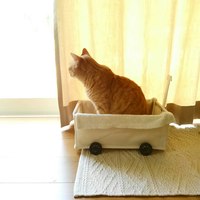 mayutan.さんの実例写真