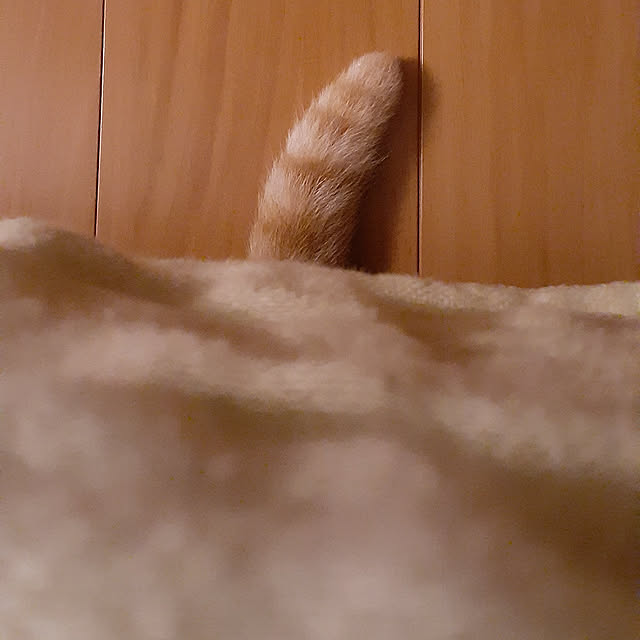 amtさんの実例写真