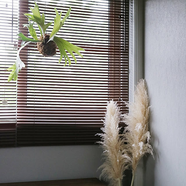 fumi_3さんの実例写真