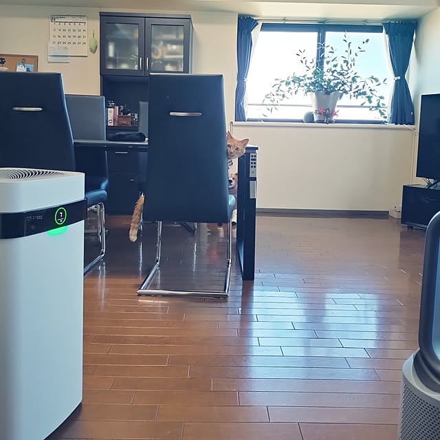 NOAHさんの部屋