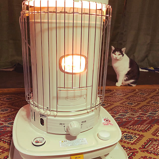 Oreoさんの実例写真