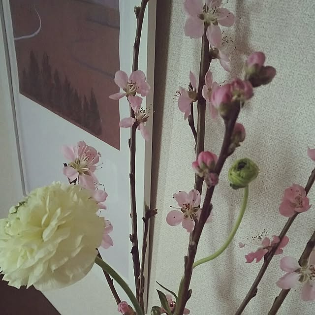 kirikoさんの実例写真