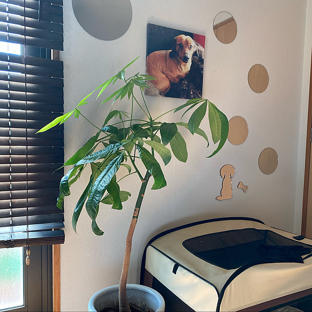 h163romiさんの実例写真