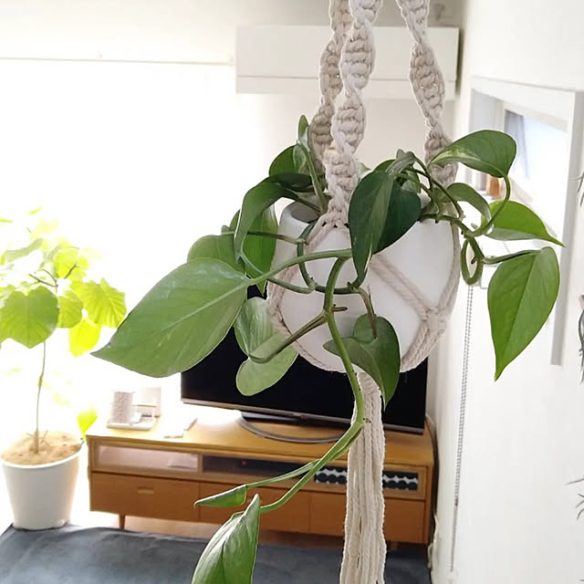 __home_m.さんの実例写真