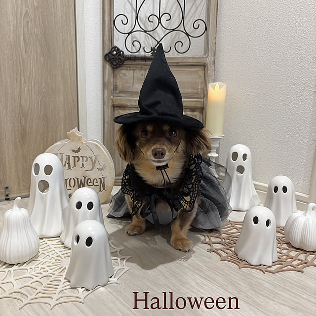 emiさんの実例写真