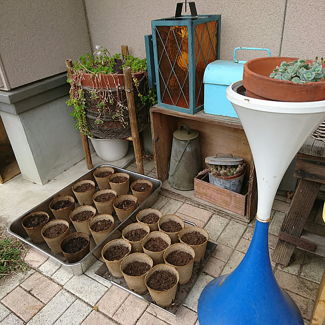 akooさんの実例写真