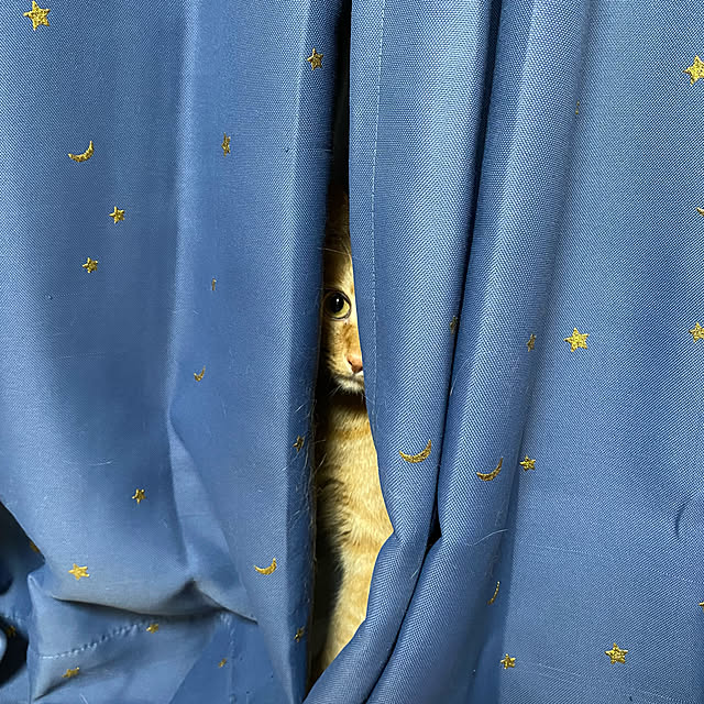 naturalさんの実例写真