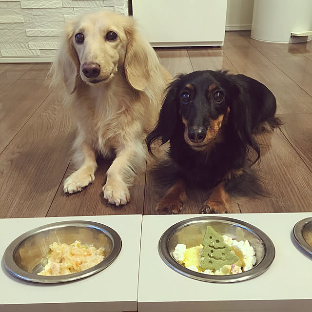 acoさんの実例写真