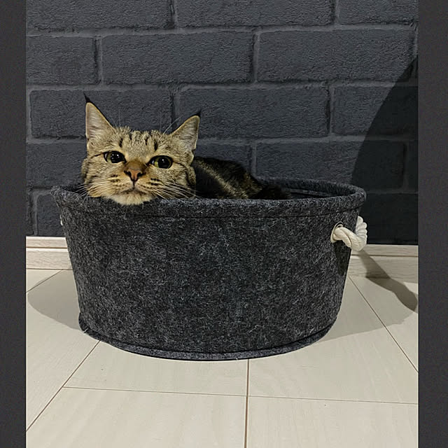 necomuraさんの実例写真