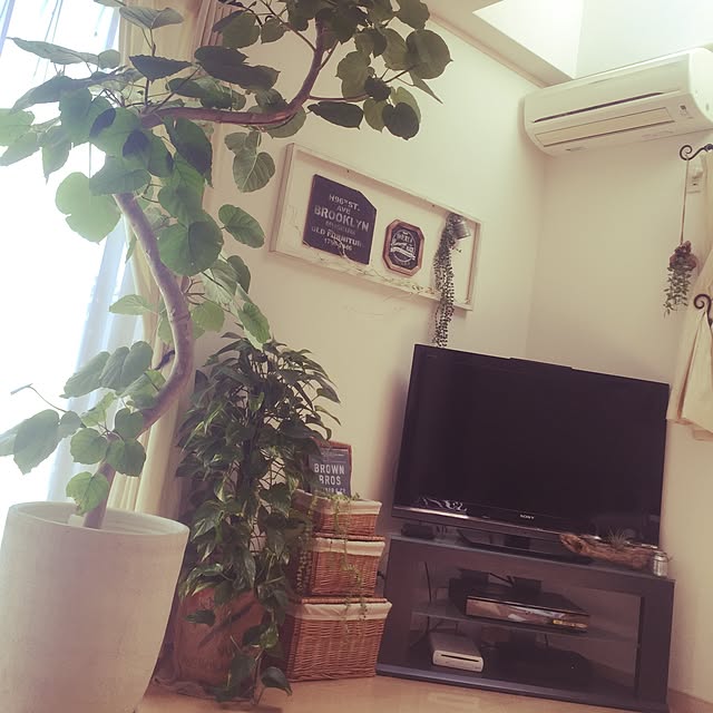 aemkさんの実例写真
