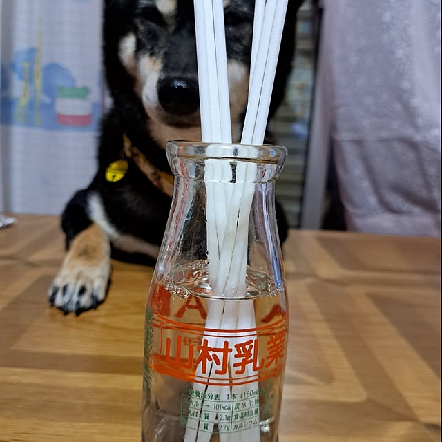 xxxakyxxxさんの部屋