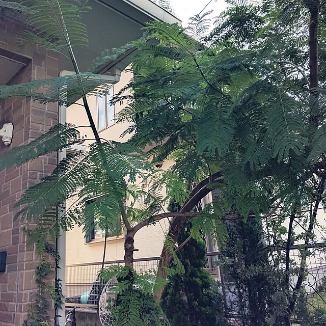 atygrmさんの実例写真