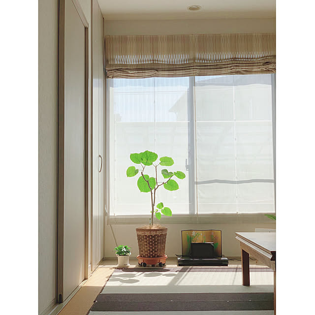 kuruMiさんの実例写真