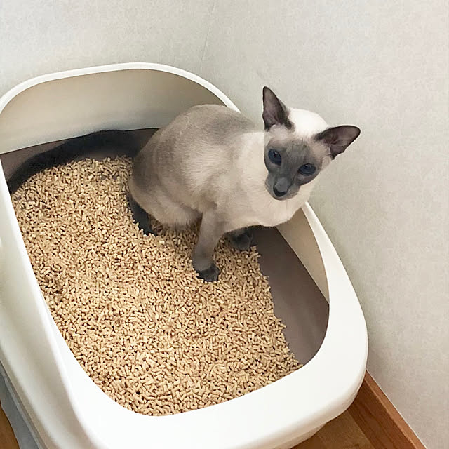 mujinekoさんの実例写真