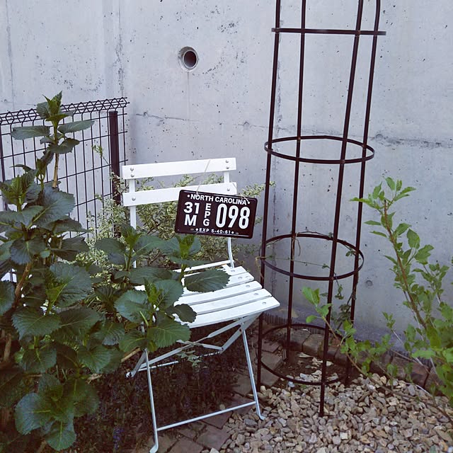 kana_ciiさんの実例写真