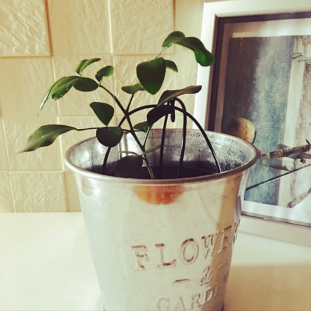 maruyamafarmさんの実例写真