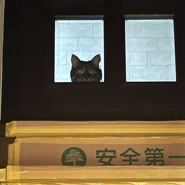 momocchiさんの部屋