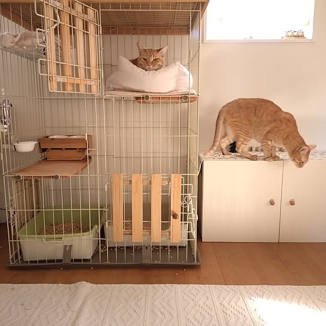 mayutan.さんの実例写真