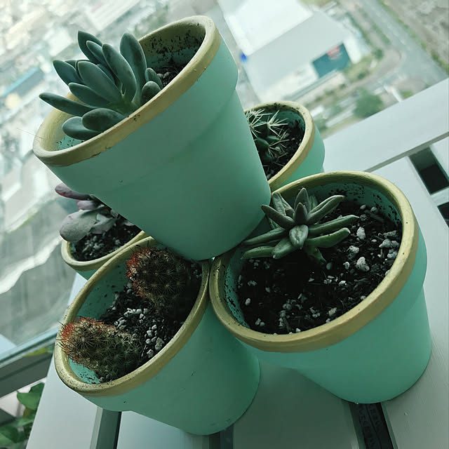 部屋全体/植木鉢/ミルクペイント屋外用/ターナーのインテリア実例 - 2018-05-25 08:54:46