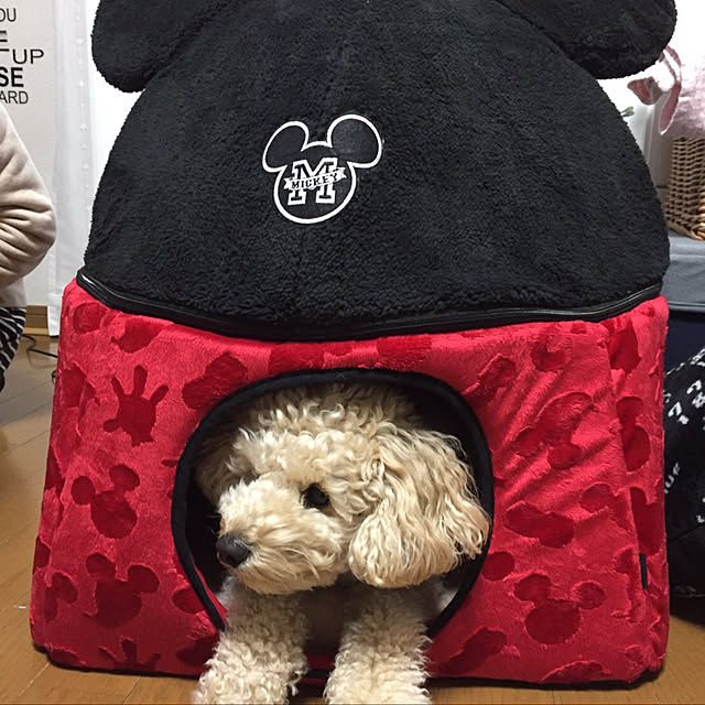 yuki89さんの実例写真