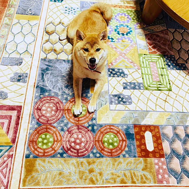 Sachiyoさんの実例写真