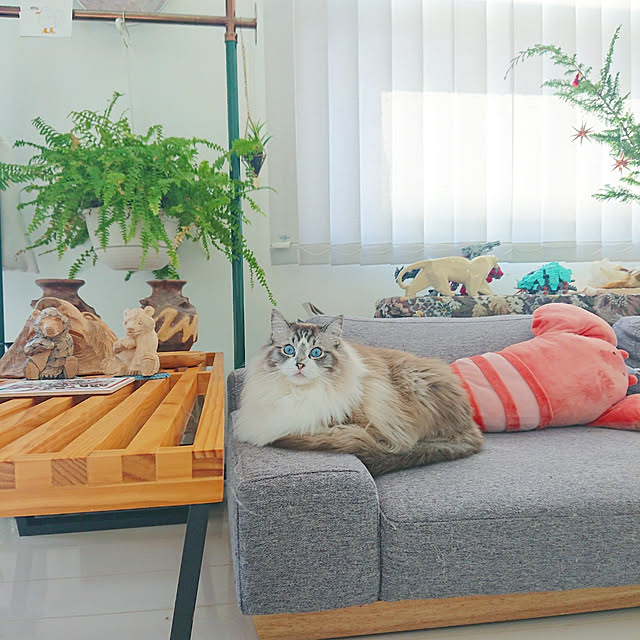 nonononakaさんの実例写真