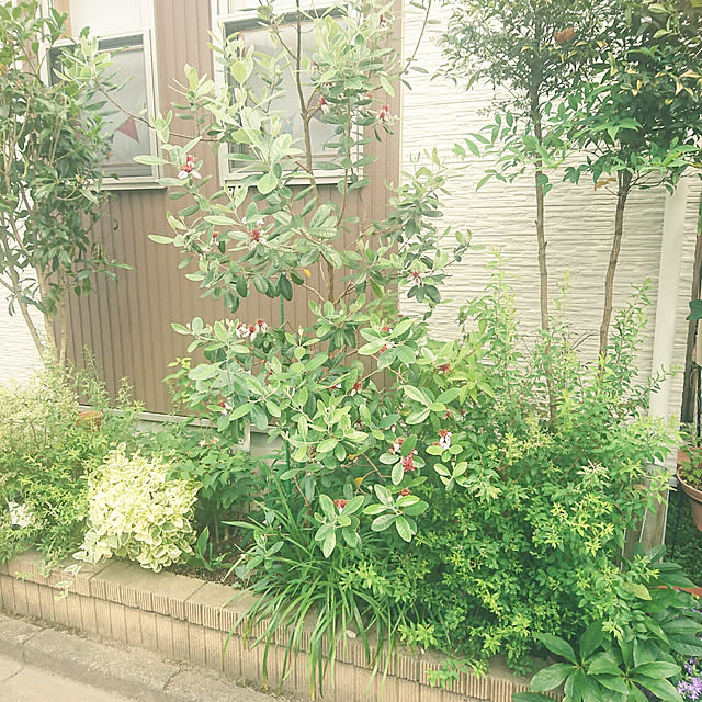 K-mamaさんの実例写真