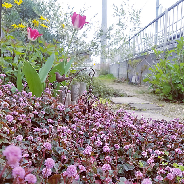 325unさんの実例写真